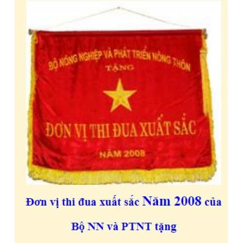 Thành tích công ty đạt được qua các năm từ 2000 - 2009